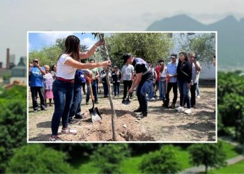 día-del-medio-ambiente-siembre-de-árboles-85-mil-árboles