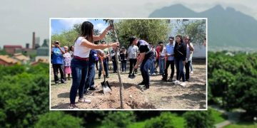 día-del-medio-ambiente-siembre-de-árboles-85-mil-árboles