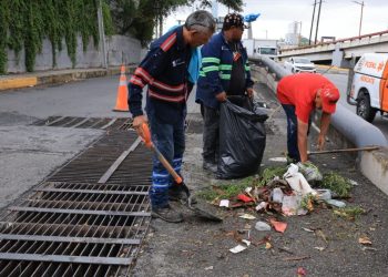 limpieza-de-400-rejillas-camiones-ecológicos