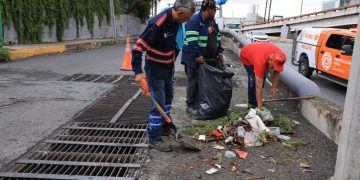 limpieza-de-400-rejillas-camiones-ecológicos