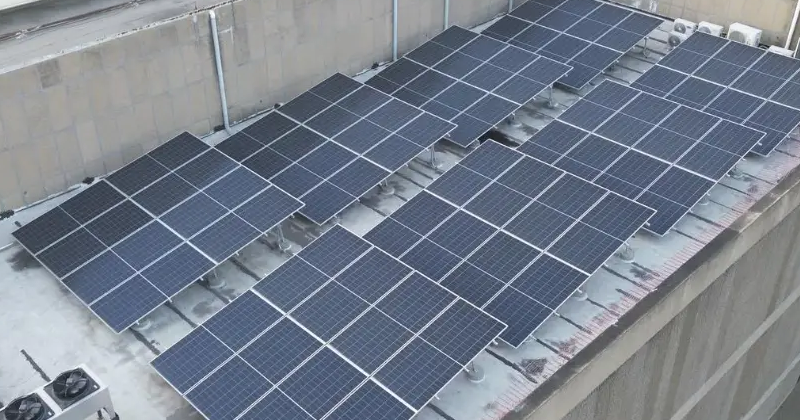 paneles solares del mega contrato con next energy